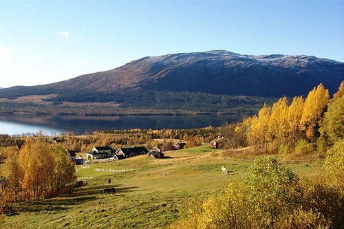Ottsjo Vy